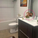 Realtor Uses AI, Accidentally Posts Photo of Rental Property With Demonic Figure Emerging From Mirror Realtor Uses AI, Accidentally Posts Photo of Rental Property With Demonic Figure Emerging From Mirror
