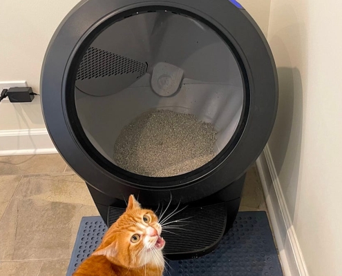 The best Presidents’ Day sales we’ve found so far The best Presidents’ Day sales we’ve found so far