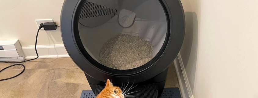 The best Presidents’ Day sales we’ve found so far