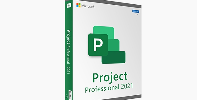 Run complex projects without losing track of timelines, budgets, or sanity — MS Project is just 