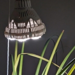 Here’s All the Tech I Use to Help My Houseplants Thrive in Winter