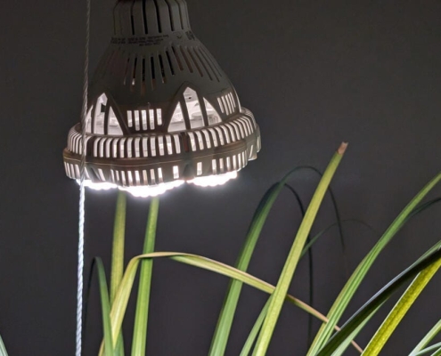 Here’s All the Tech I Use to Help My Houseplants Thrive in Winter