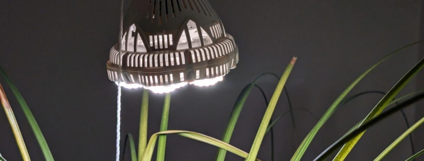 Here’s All the Tech I Use to Help My Houseplants Thrive in Winter