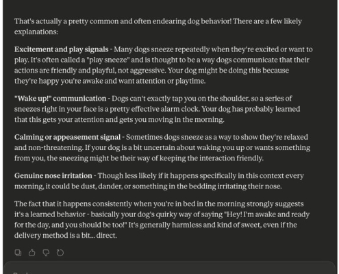 Want to Be a Better Pet Parent? AI Can Help