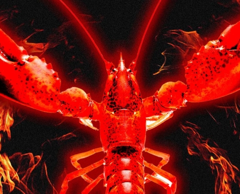 I Infiltrated Moltbook, the AI-Only Social Network Where Humans Aren’t Allowed