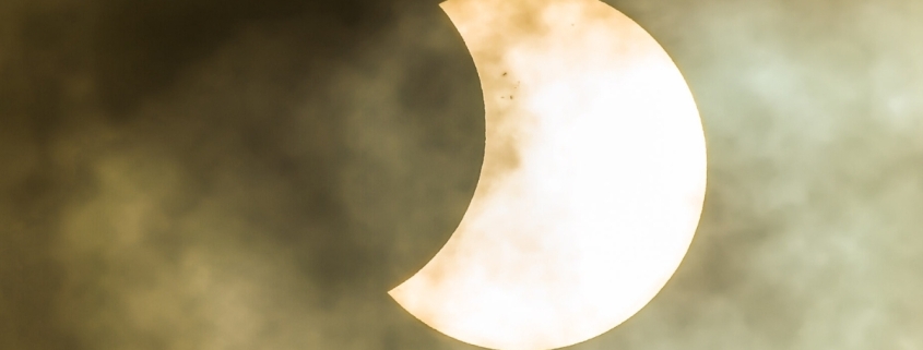 Forest’s Strange Response to an Eclipse May Have a More Mundane Explanation : ScienceAlert