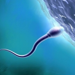 Scientists Say It’s Time to Learn More About Sexual Health in Space : ScienceAlert