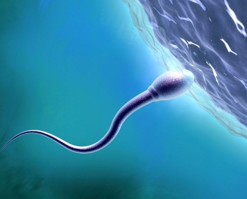 Scientists Say It’s Time to Learn More About Sexual Health in Space : ScienceAlert