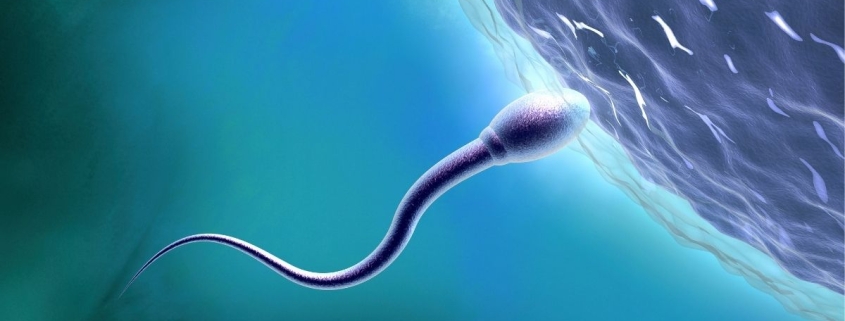 Scientists Say It’s Time to Learn More About Sexual Health in Space : ScienceAlert