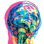 You need to listen to the new Mandy, Indiana record: URGH