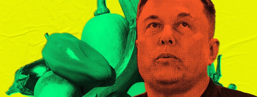 US Government Deploys Elon Musk’s Grok as Nutrition Bot, Where It Immediately Gives Advice for Rectal Use of Vegetables US Government Deploys Elon Musk’s Grok as Nutrition Bot, Where It Immediately Gives Advice for Rectal Use of Vegetables