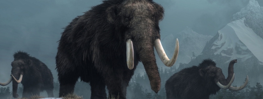Discovery of Mammoth Ivory Tools Resets Human Timeline in North America : ScienceAlert