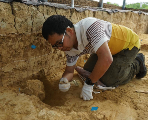 “Million-year-old” fossil skulls from China are far older—and not Denisovans