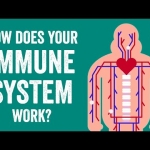 Universal Vaccine Blocks Viruses, Bacteria, And Allergies With a Nasal Spray : ScienceAlert