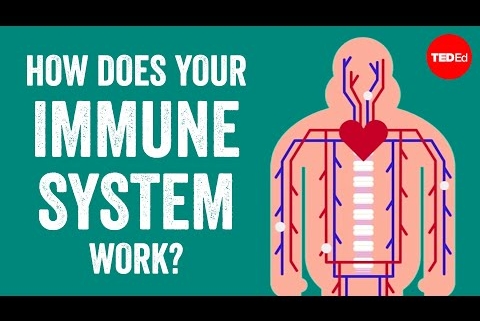 Universal Vaccine Blocks Viruses, Bacteria, And Allergies With a Nasal Spray : ScienceAlert Universal Vaccine Blocks Viruses, Bacteria, And Allergies With a Nasal Spray : ScienceAlert