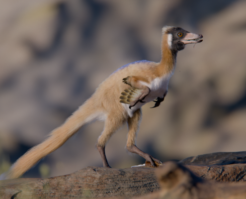 Tiny, long-armed dinosaur leads to rethink of dinosaur miniaturization