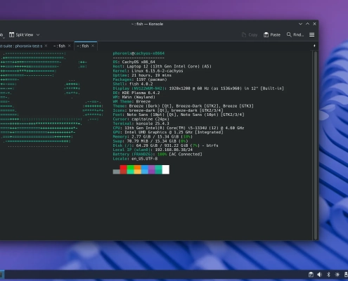 CachyOS Handheld Edition Switches To Wayland, CachyOS Installer Drops Bcachefs