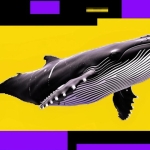 Bitcoin dip may not be over as whales sell into retail buying — a bearish signal