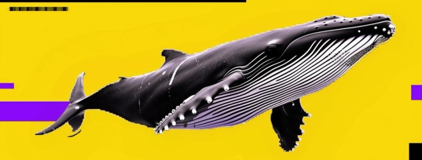 Bitcoin dip may not be over as whales sell into retail buying — a bearish signal