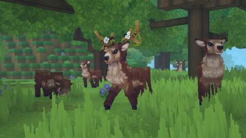 How To Tame All Animals In Hytale How To Tame All Animals In Hytale