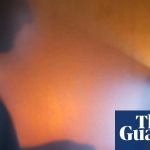 We Know You Can Pay a Million by Anja Shortland review – the terrifying new world of ransomware | Science and nature books