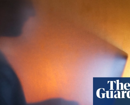 We Know You Can Pay a Million by Anja Shortland review – the terrifying new world of ransomware | Science and nature books