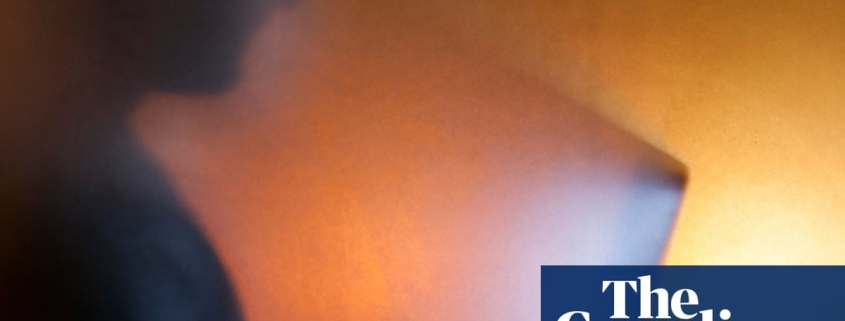 We Know You Can Pay a Million by Anja Shortland review – the terrifying new world of ransomware | Science and nature books