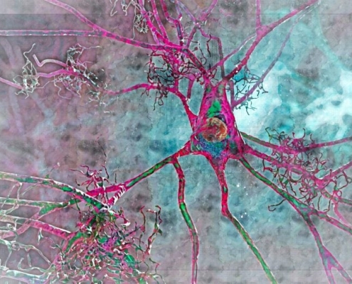 Brain Blood Flow May Predict Alzheimer’s Risk Before Memory Loss Brain Blood Flow May Predict Alzheimer’s Risk Before Memory Loss