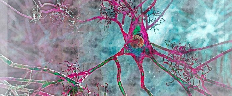 Brain Blood Flow May Predict Alzheimer’s Risk Before Memory Loss