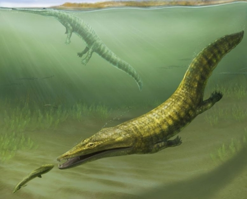 After Earth’s Greatest Extinction, These Sea Monsters Conquered the Oceans