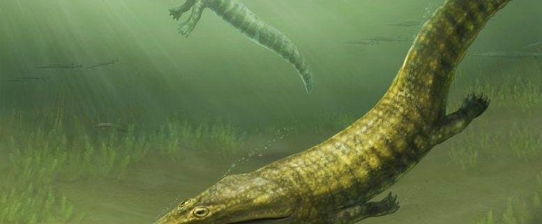 After Earth’s Greatest Extinction, These Sea Monsters Conquered the Oceans