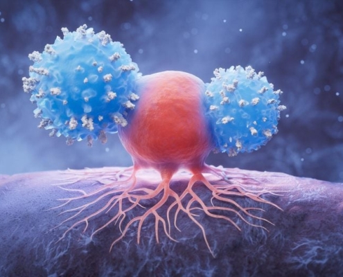 Scientists Discover Genetic Switch That Supercharges Cancer-Killing Immune Cells