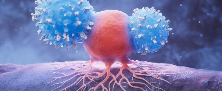 Scientists Discover Genetic Switch That Supercharges Cancer-Killing Immune Cells
