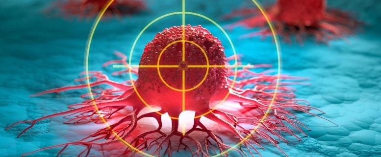 Scientists Turn Bacteria Into Tiny Tumor Hunters That Kill Cancer