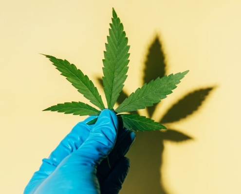 Large Medical Cannabis Review Finds Scarce Evidence It Treats Mental Health Disorders : ScienceAlert