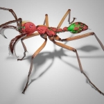 AI and X-Ray Scans Turn Thousands of Ants Into Stunning 3D Models