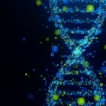 Large genome model: Open source AI trained on trillions of bases