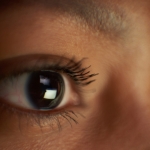 Why are vertebrate eyes so different from those of other animals?