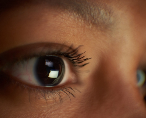 Why are vertebrate eyes so different from those of other animals?