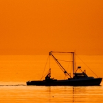 Fishing crews in the Atlantic keep accidentally dredging up chemical weapons Fishing crews in the Atlantic keep accidentally dredging up chemical weapons