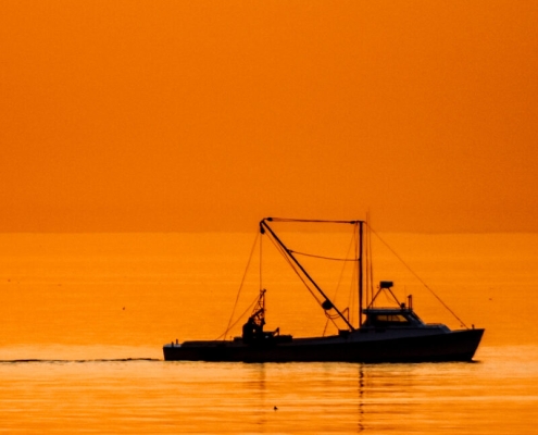 Fishing crews in the Atlantic keep accidentally dredging up chemical weapons