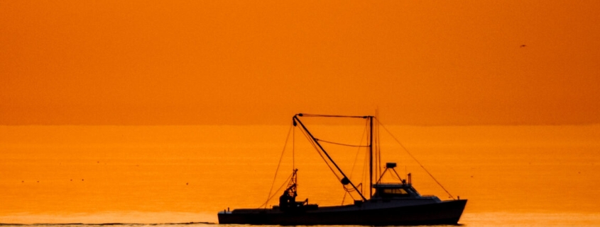 Fishing crews in the Atlantic keep accidentally dredging up chemical weapons