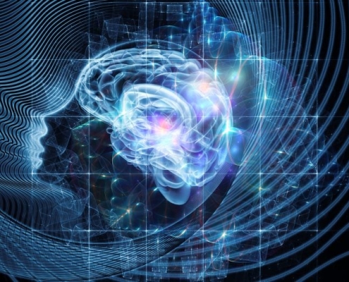 Could Bees and ChatGPT Be Conscious? Scientists Are Seriously Asking