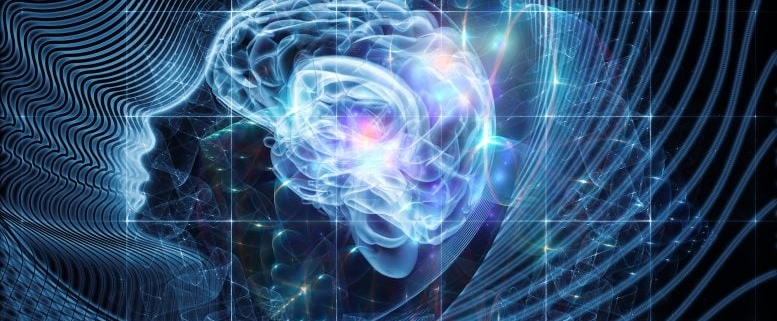 Could Bees and ChatGPT Be Conscious? Scientists Are Seriously Asking