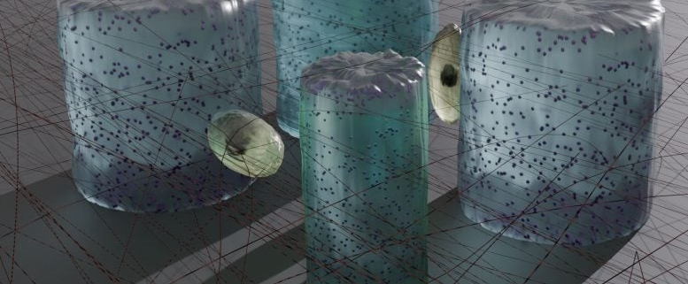 New Hydrogel Micromachines May Transform How We Study Living Tissues New Hydrogel Micromachines May Transform How We Study Living Tissues