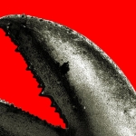 China’s OpenClaw Boom Is a Gold Rush for AI Companies