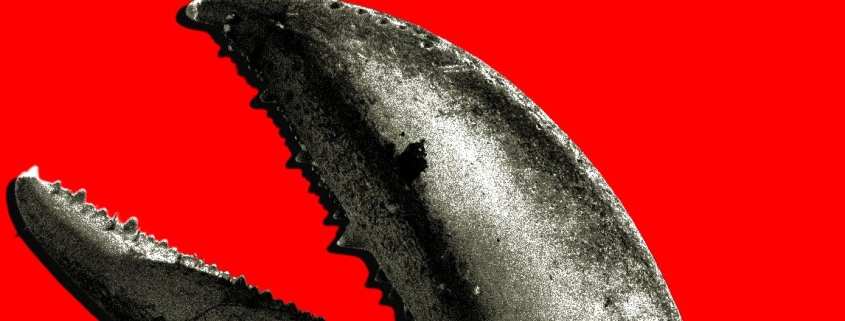 China’s OpenClaw Boom Is a Gold Rush for AI Companies