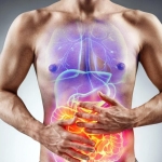 Common Grain Compound May Help Control Irritable Bowel Symptoms