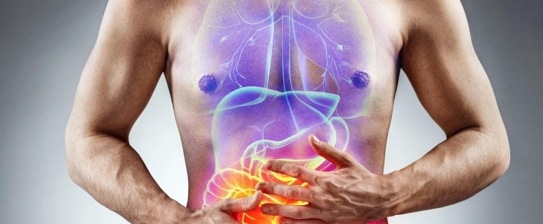 Common Grain Compound May Help Control Irritable Bowel Symptoms