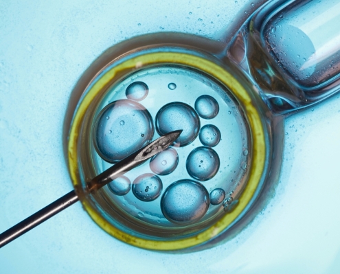 Major Study Finds IVF Not Linked to Cancer Risk, But There’s a Catch : ScienceAlert